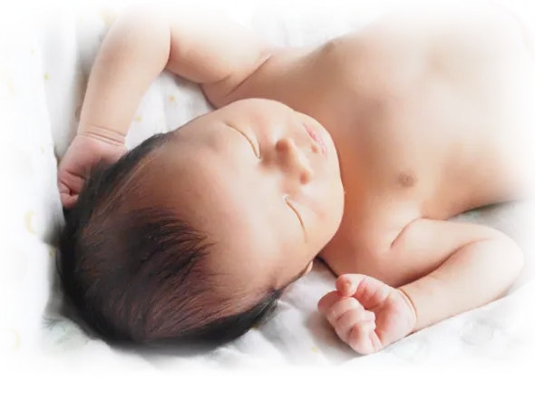 臍帯由来イメージ