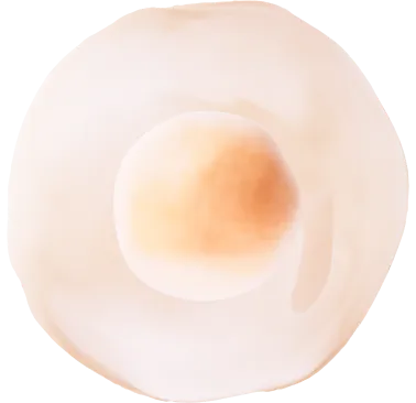 細胞年齢0歳イメージ